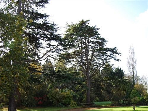Langaller Manor House Taunton Εξωτερικό φωτογραφία